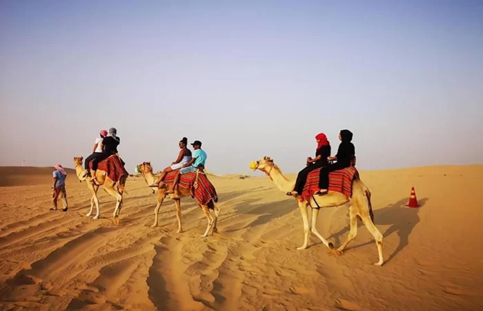Morning Desert Safari with Sand Boarding
